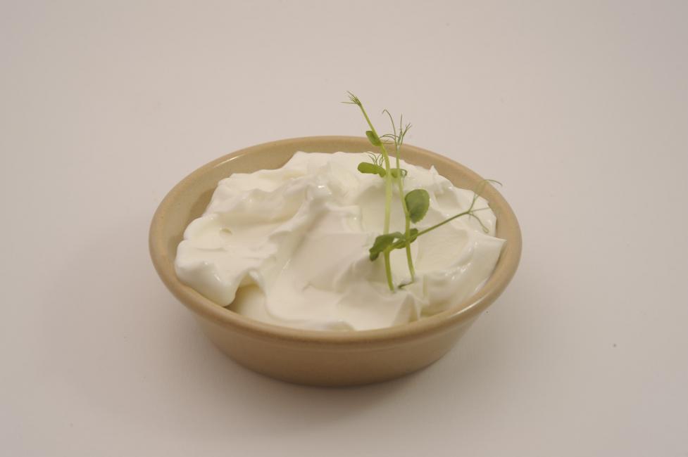 JetDine Menu D5 - Greek Joghurt